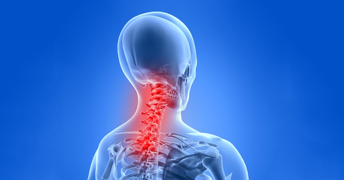 Chiropractic Charlotte, NC